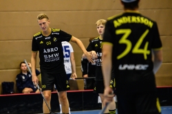 AIK - Älvsjö.  8-6