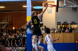 AIK - Fryshuset.  87-82