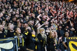 Publikbilder. AIK-Dif