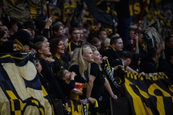 Publikbilder. AIK-Dif