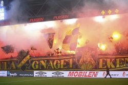 Publikbilder. Elfsborg-AIK