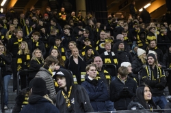 Publikbilder. AIK-Halmstad