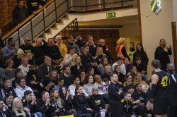 Publikbilder. AIK-Dif 