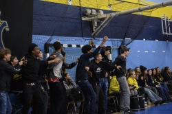 Publikbilder. AIK-Dif 