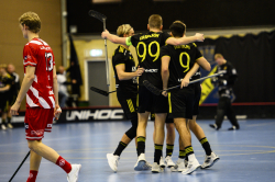 AIK - Pixbo.  5-11