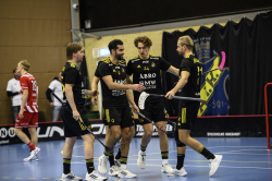 AIK - Pixbo.  5-11
