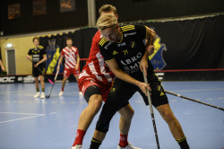 AIK - Pixbo.  5-11