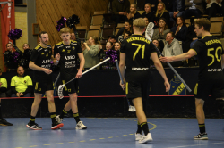 AIK - Falun. 6-8