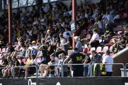 Publikbilder. AIK-Norrköping  (Dam)