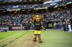 Inspringet på Frends Arena