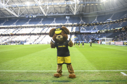 Inspringet på Frends Arena