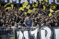 Publikbilder. Hammarby-AIK