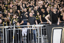 Publikbilder. Hammarby-AIK