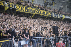 Publikbilder. Hammarby-AIK