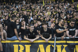 Publikbilder. Hammarby-AIK