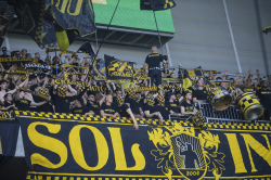 Publikbilder. Hammarby-AIK