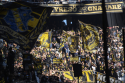 Publikbilder. AIK-Malmö