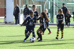 AIK:s höstcup 