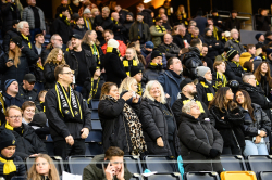 Publikbilder. AIK-Halmstad