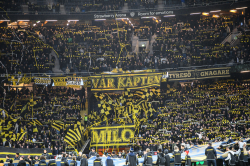 Publikbilder. AIK-Halmstad