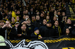 Publikbilder. AIK-Halmstad