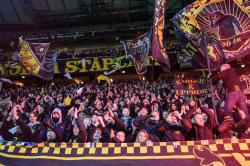 Publikbilder. AIK-Halmstad