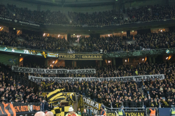 Publikbilder. AIK-Halmstad