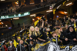 Publikbilder. AIK-Halmstad