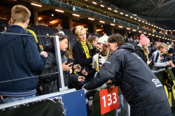 Publikbilder. AIK-Halmstad