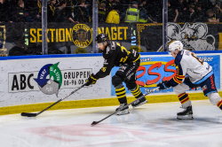 AIK - Dif.  8-4
