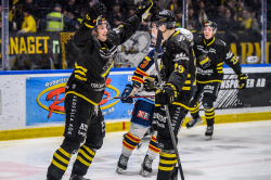 AIK - Dif.  8-4