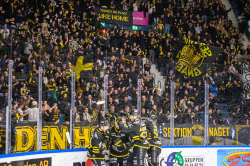 AIK - Dif.  8-4