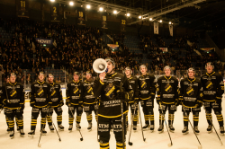 AIK - Dif.  8-4