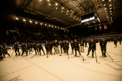 AIK - Dif.  8-4