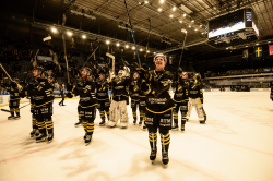 AIK - Dif.  8-4