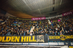 Publikbilder. AIK-Dif 
