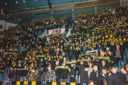 Publikbilder. AIK-Dif 