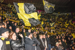 Publikbilder. AIK-Dif 