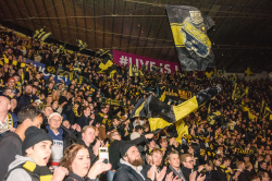Publikbilder. AIK-Dif 