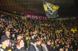 Publikbilder. AIK-Dif 
