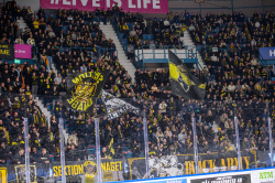 Publikbilder. AIK-Dif 