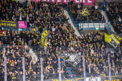 Publikbilder. AIK-Dif 