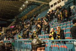 Publikbilder. AIK-Dif 
