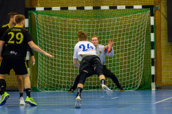 AIK - Tumba.  28-23