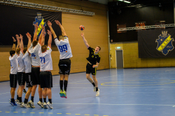 AIK - Tumba.  28-23