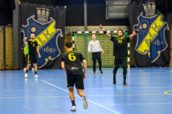 AIK - Tumba.  28-23