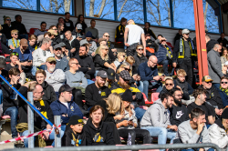 Publikbilder. AIK-Sirius