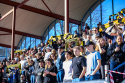 Publikbilder. AIK-Sirius