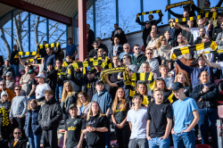 Publikbilder. AIK-Sirius