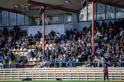 Publikbilder. AIK-Sirius